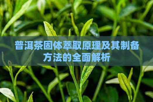 普洱茶固体萃取原理及其制备方法的全面解析