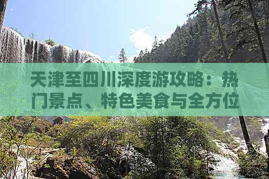 天津至四川深度游攻略：热门景点、特色美食与全方位旅游线路指南