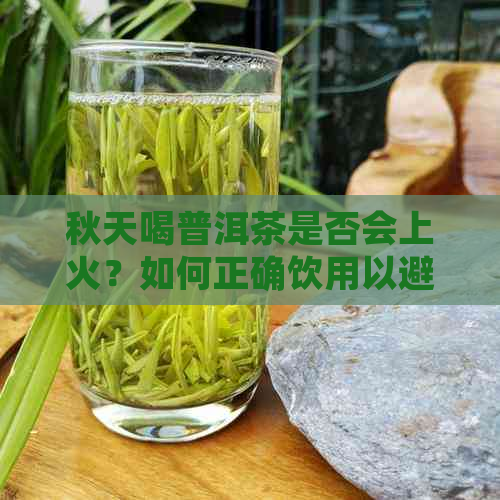 秋天喝普洱茶是否会上火？如何正确饮用以避免上火问题？