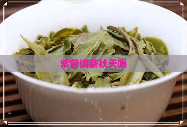 紫普洱茶秋天喝