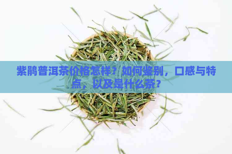 紫鹃普洱茶价格怎样？如何鉴别，口感与特点，以及是什么茶？