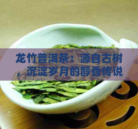 龙竹普洱茶：源自古树，沉淀岁月的醇香传说