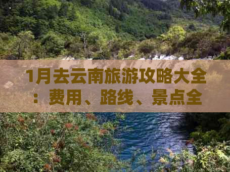 1月去云南旅游攻略大全：费用、路线、景点全解析