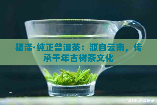 福泽·纯正普洱茶：源自云南，传承千年古树茶文化