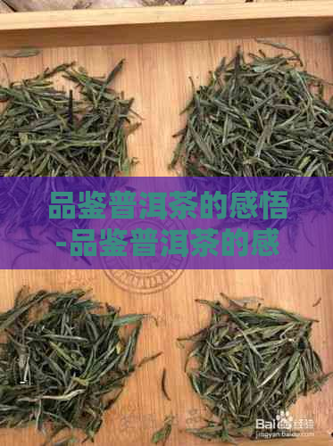 品鉴普洱茶的感悟-品鉴普洱茶的感悟心得