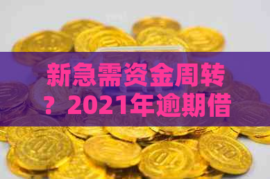 新急需资金周转？2021年逾期借款渠道大揭秘，让您不再担忧！