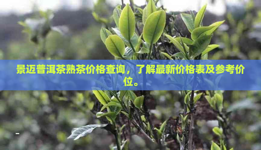 景迈普洱茶熟茶价格查询，了解最新价格表及参考价位。