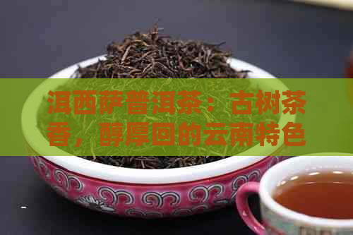 洱西萨普洱茶：古树茶香，醇厚回的云南特色茶叶