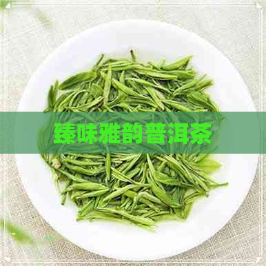 臻味雅韵普洱茶