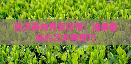 普洱茶的完美保存：油纸包装的艺术与技巧