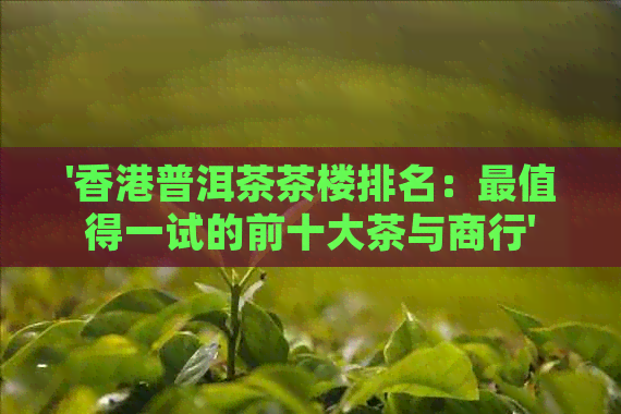 '普洱茶茶楼排名：最值得一试的前十大茶与商行'