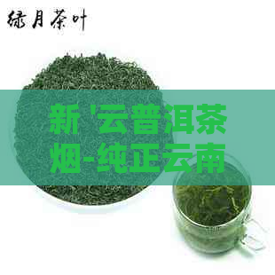 新 '云普洱茶烟-纯正云南大叶种，高品质享受，独特风味及价格解析'