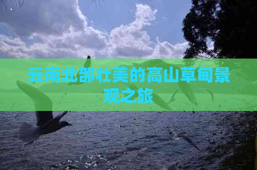 云南北部壮美的高山草甸景观之旅