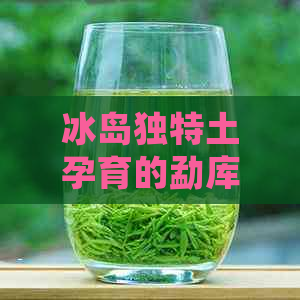 冰岛独特土孕育的勐库大叶种普洱茶：一场口感与视觉的宴