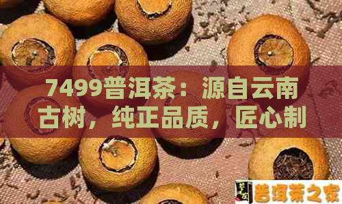 7499普洱茶：源自云南古树，纯正品质，匠心制作，品鉴享受