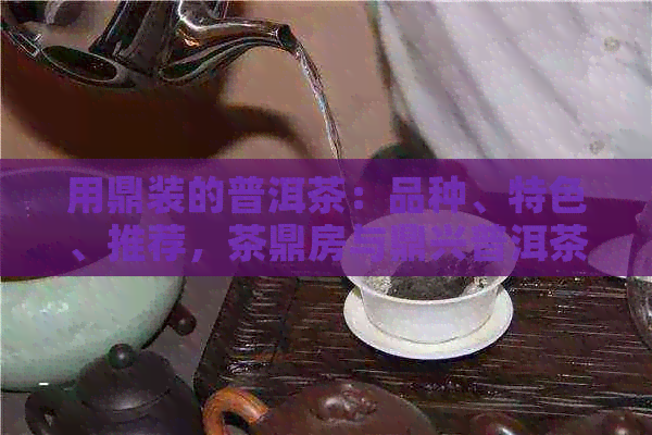 用鼎装的普洱茶：品种、特色、推荐，茶鼎房与鼎兴普洱茶解析