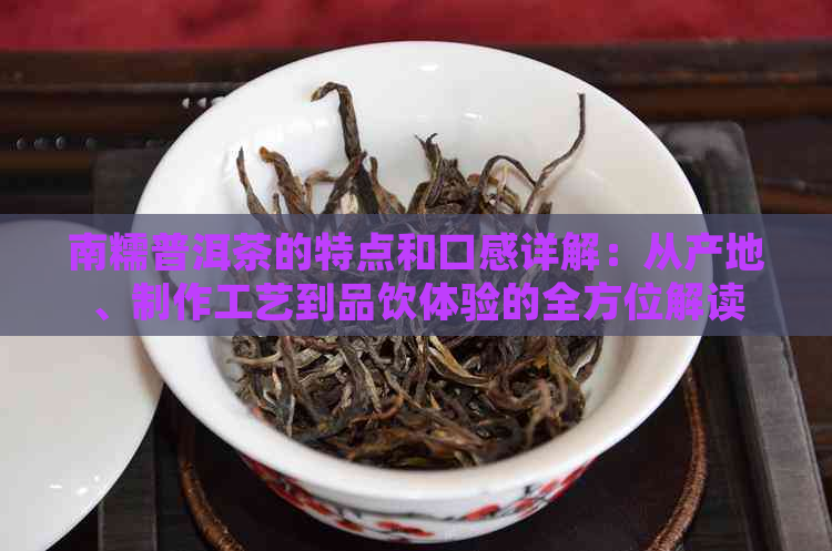 南糯普洱茶的特点和口感详解：从产地、制作工艺到品饮体验的全方位解读