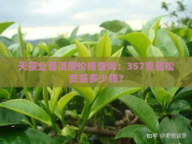 天茶业普洱茶价格查询：357克曼松贡茶多少钱？