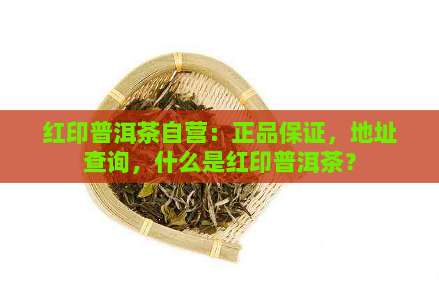 红印普洱茶自营：正品保证，地址查询，什么是红印普洱茶？