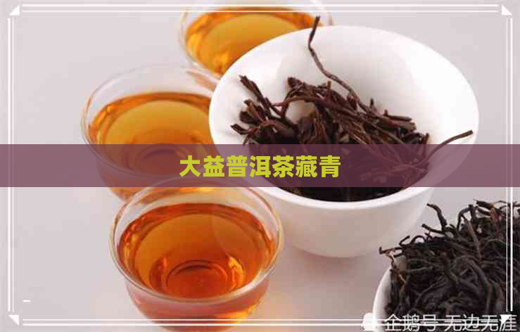 大益普洱茶藏青