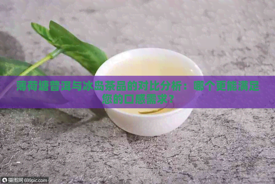 薄荷塘普洱与冰岛茶品的对比分析：哪个更能满足您的口感需求？