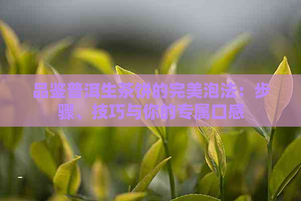 品鉴普洱生茶饼的完美泡法：步骤、技巧与你的专属口感