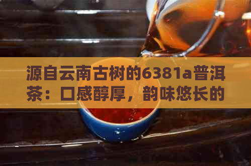 源自云南古树的6381a普洱茶：口感醇厚，韵味悠长的完美诠释