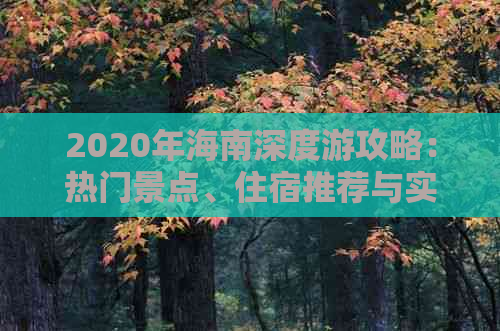 2020年海南深度游攻略：热门景点、住宿推荐与实用旅行指南