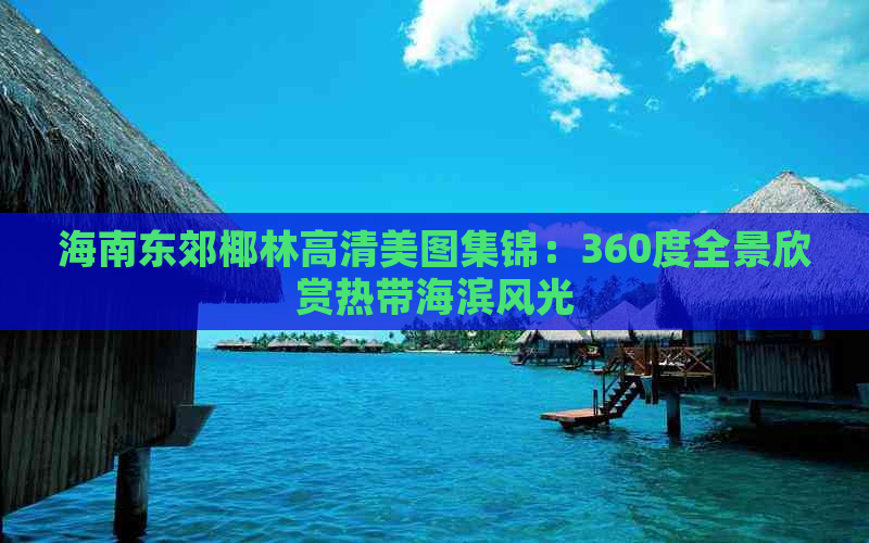 海南东郊椰林高清美图集锦：360度全景欣赏热带海滨风光