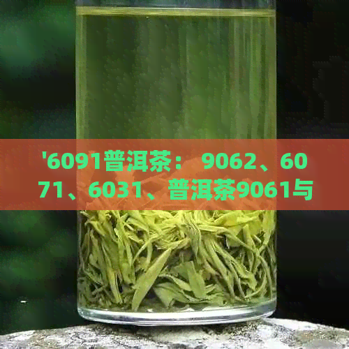 '6091普洱茶： 9062、6071、6031、普洱茶9061与601的区别'