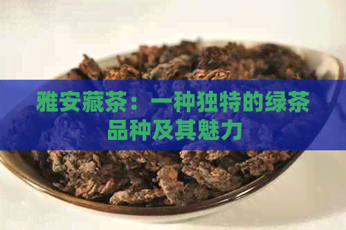 雅安藏茶：一种独特的绿茶品种及其魅力