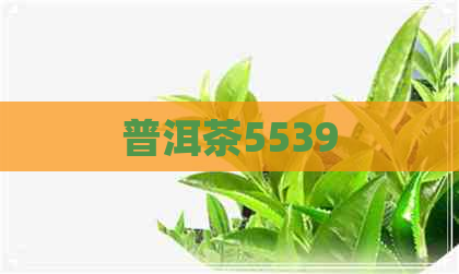 普洱茶5539