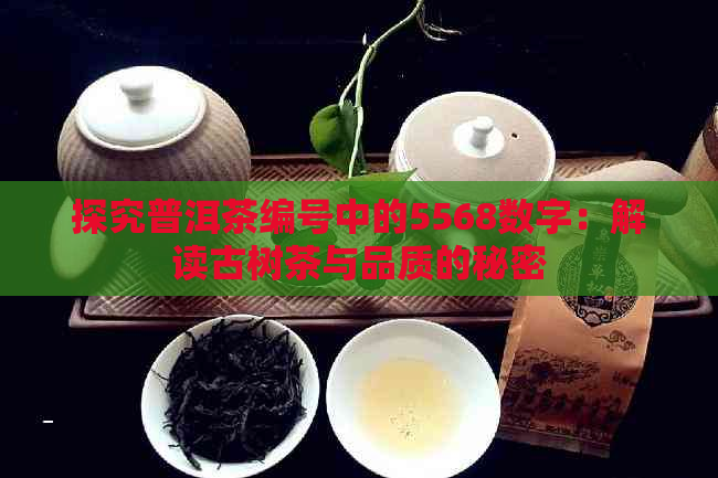 探究普洱茶编号中的5568数字：解读古树茶与品质的秘密