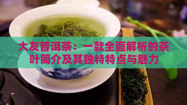 大友普洱茶：一款全面解析的茶叶简介及其独特特点与魅力