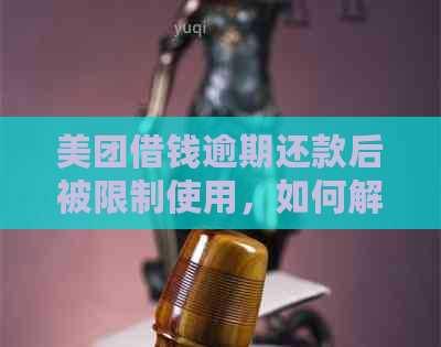 美团借钱逾期还款后被限制使用，如何解决？