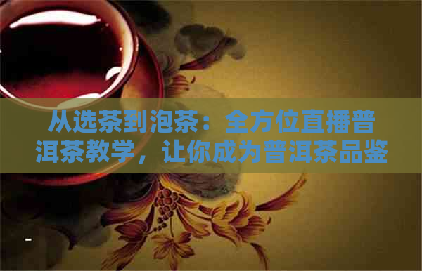 从选茶到泡茶：全方位直播普洱茶教学，让你成为普洱茶品鉴大师！