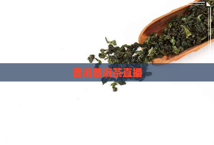 普洱普洱茶直播