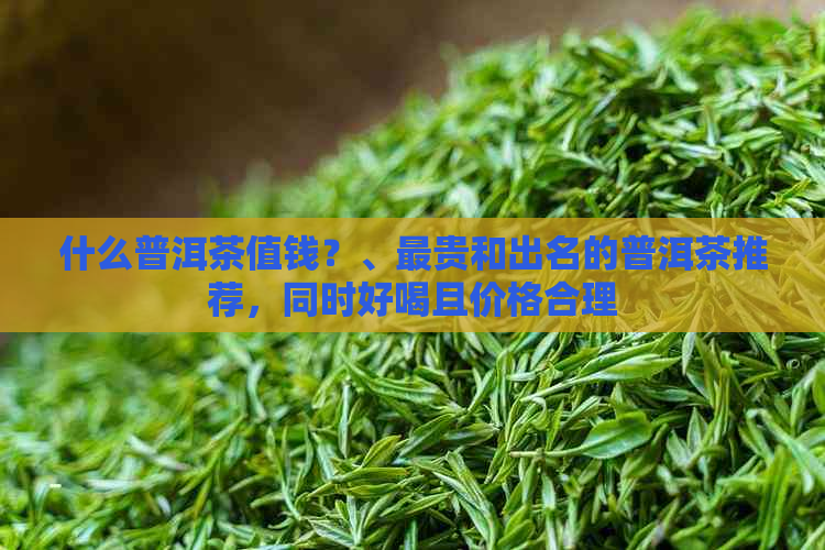 什么普洱茶值钱？、最贵和出名的普洱茶推荐，同时好喝且价格合理