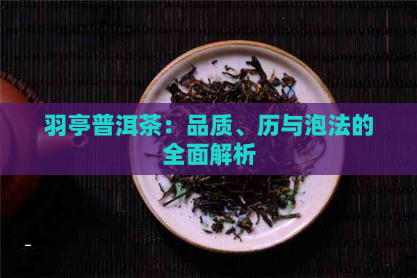 羽亭普洱茶：品质、历与泡法的全面解析