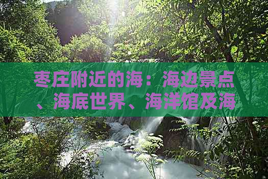 枣庄附近的海：海边景点、海底世界、海洋馆及海港一览