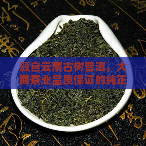 源自云南古树普洱，大商茶业品质保证的纯正茶叶体验