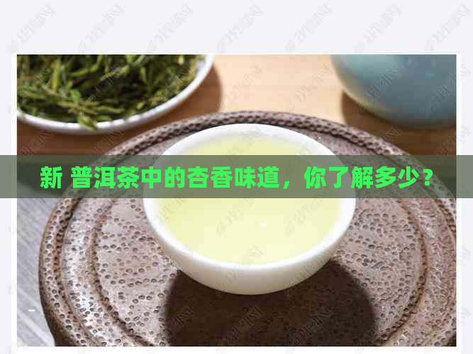 新 普洱茶中的杏香味道，你了解多少？