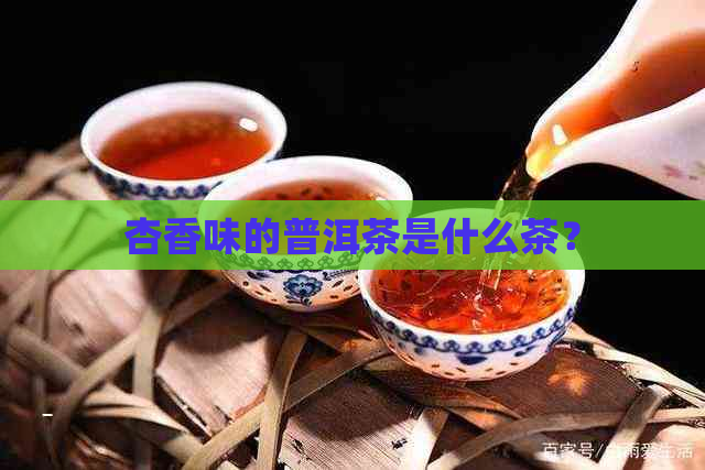 杏香味的普洱茶是什么茶？