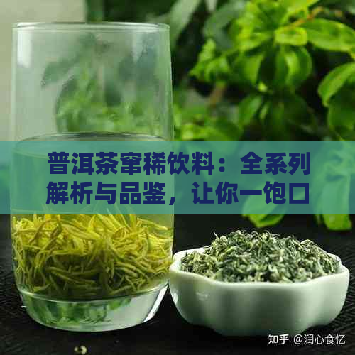 普洱茶窜稀饮料：全系列解析与品鉴，让你一饱口福