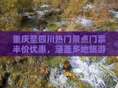 重庆至四川热门景点门票半价优惠，涵盖多地旅游资讯与活动详情