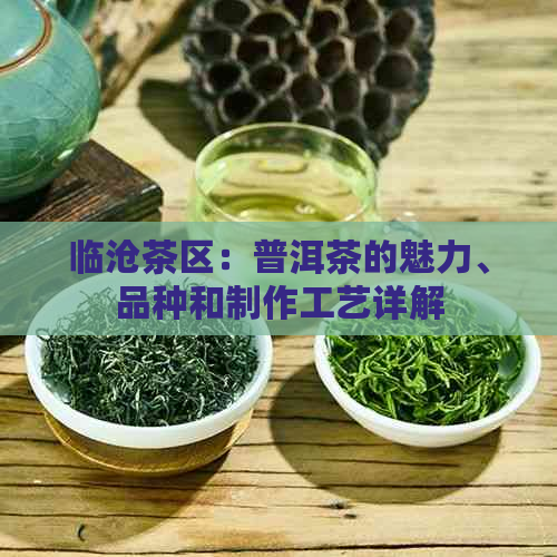 临沧茶区：普洱茶的魅力、品种和制作工艺详解