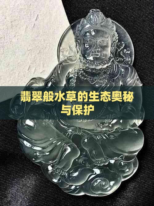 翡翠般水草的生态奥秘与保护