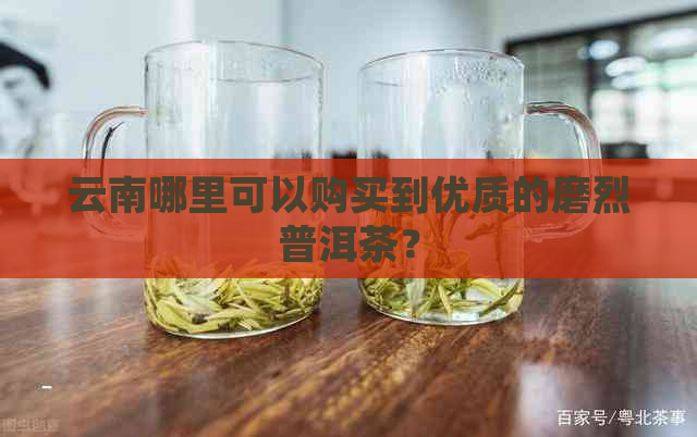 云南哪里可以购买到优质的磨烈普洱茶？