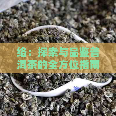 络：探索与品鉴普洱茶的全方位指南