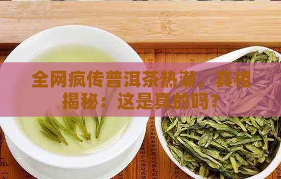 全网疯传普洱茶热潮，真相揭秘：这是真的吗？